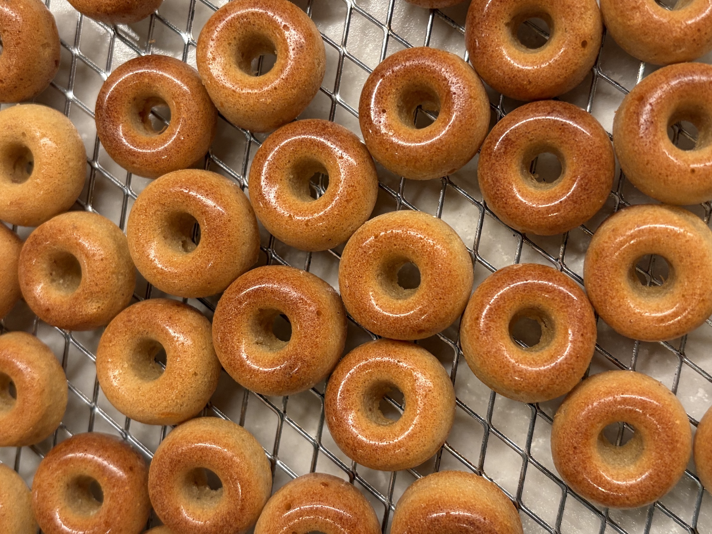 close-up of exquisite artisanal petit fours and mini desserts on a white ceramic plate with soft natural morning light