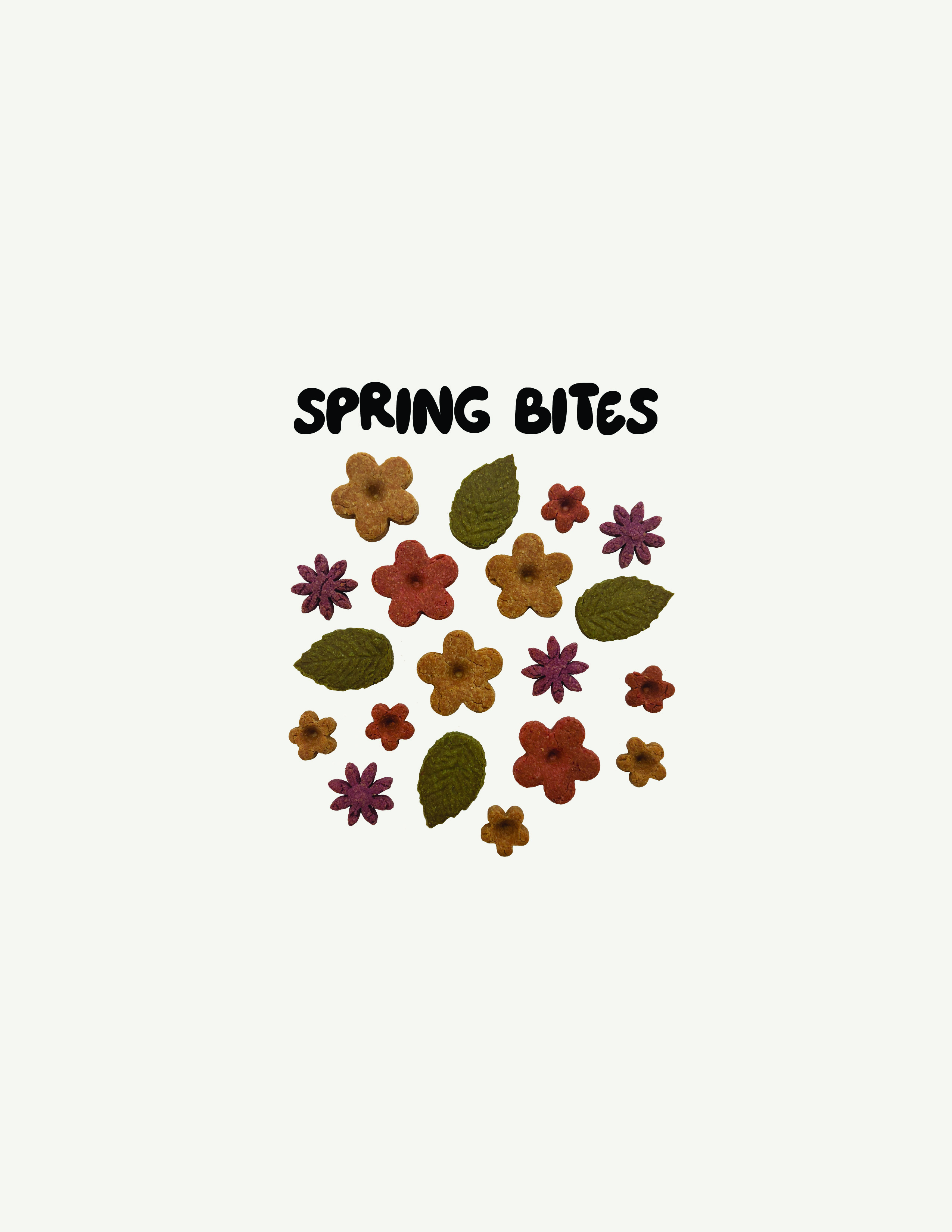 Spring Bites